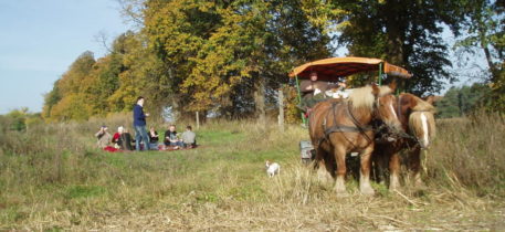 Kutschfahrt "gut Falkenhain"
